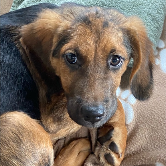 Meet your Posher, Karen - Picture 1 of 2